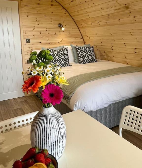 Plumgrove Pod Easkey Villa Sligo Kültér fotó
